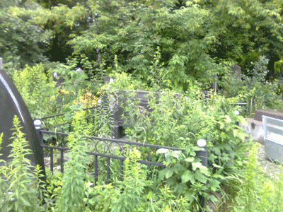 Grave before restoration